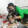 Piyali G.